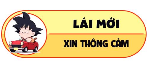 Lái mới 2