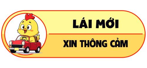 Lái mới