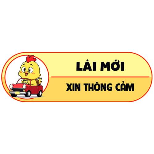 Lái mới